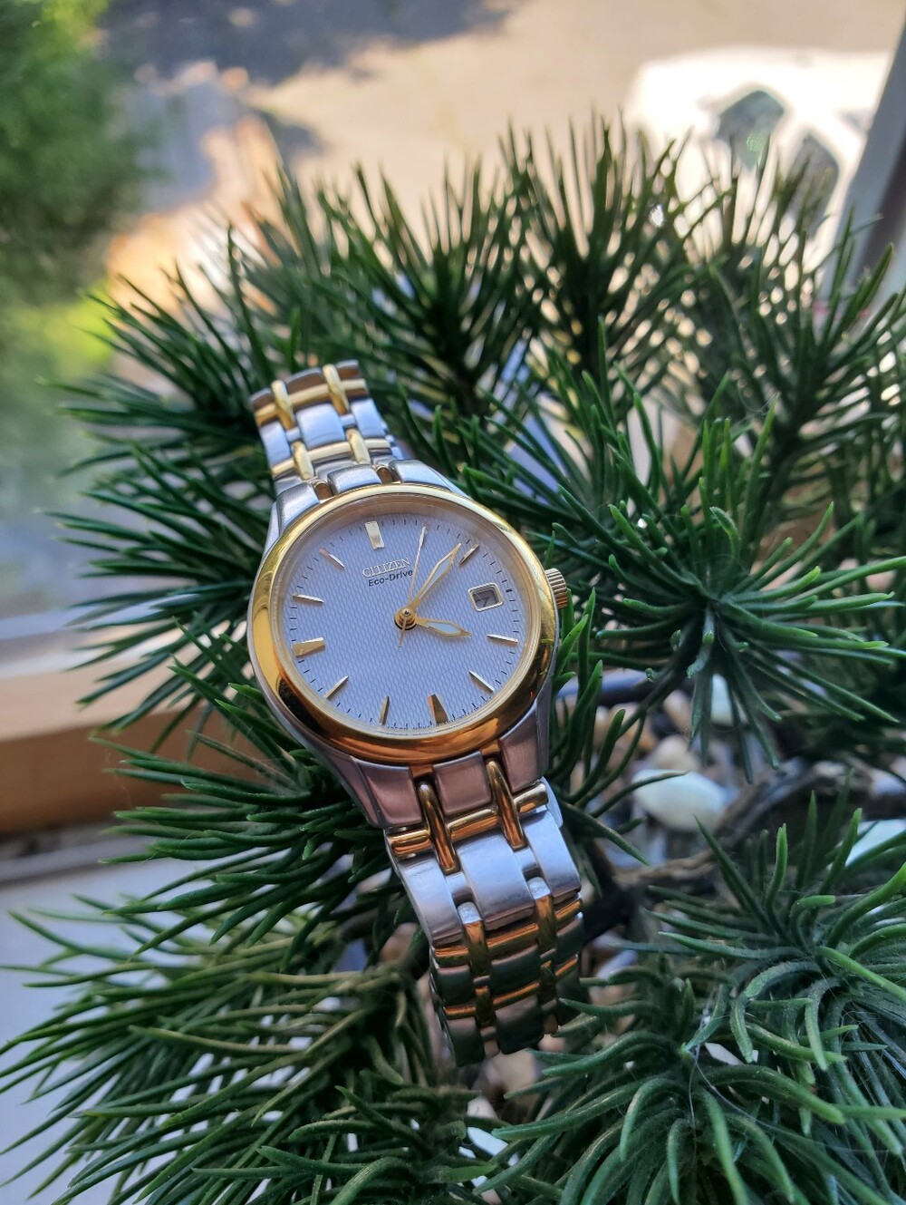 Citizen Ladies Corso Eco-Drive Two-Tone Watch (EW1264-50A) - Great Condition